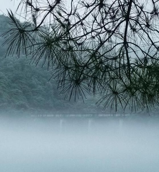 父母|孩子父亲是谁?父母说沃不懂事,意想不到的人是沃公公