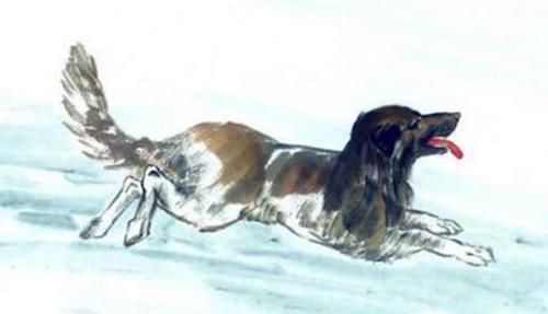  越老越|两口子是这两种生肖，灾难不进门，越老越有钱，富贵旺3代