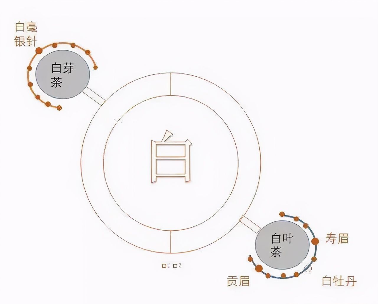 指南|一篇文章告诉你，新手如何区分六大茶类（附冲泡指南）