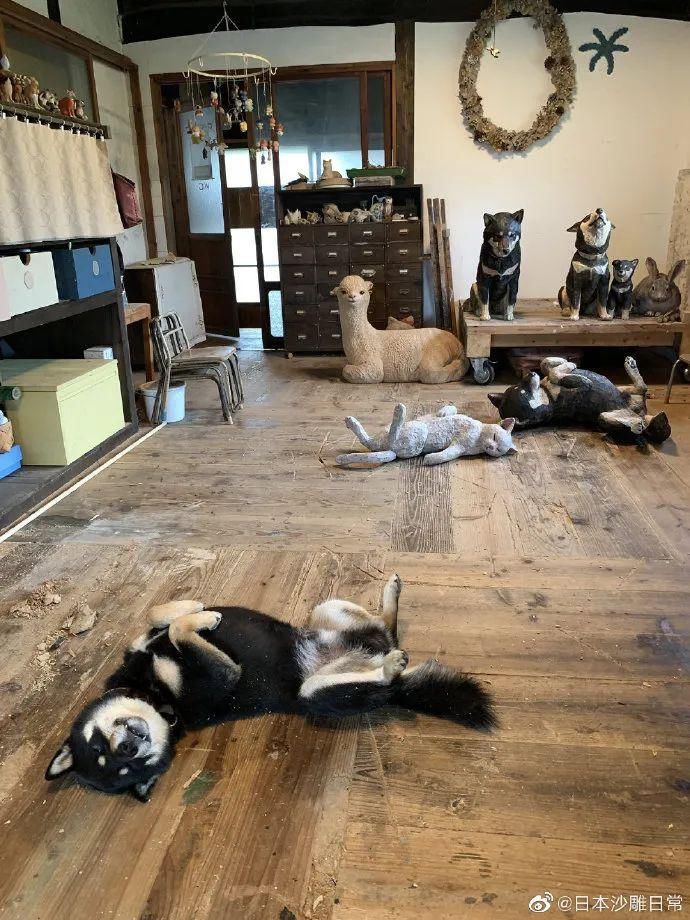  人养|每个人养肉人都应该学会鉴赏“兜”