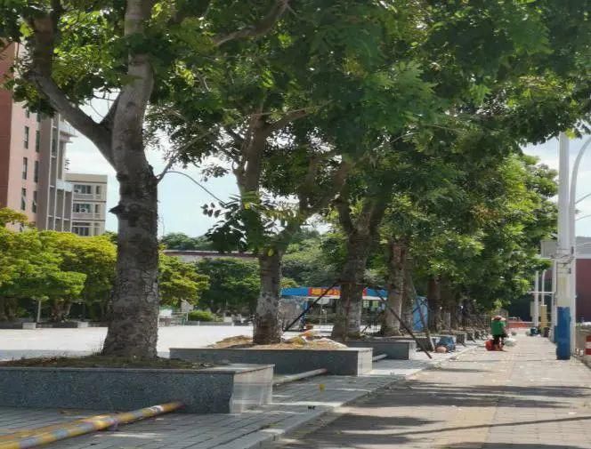 火炬|【创文进行时】这些不文明行为，让火炬区很“受伤”