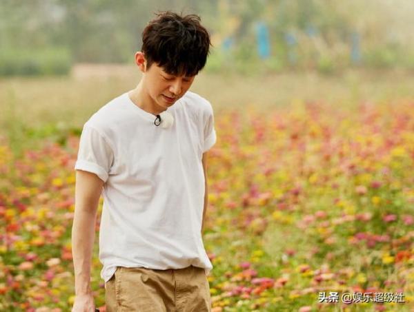 向往|《向往的生活4》收割香蕉号称四季最累,网友们都笑了