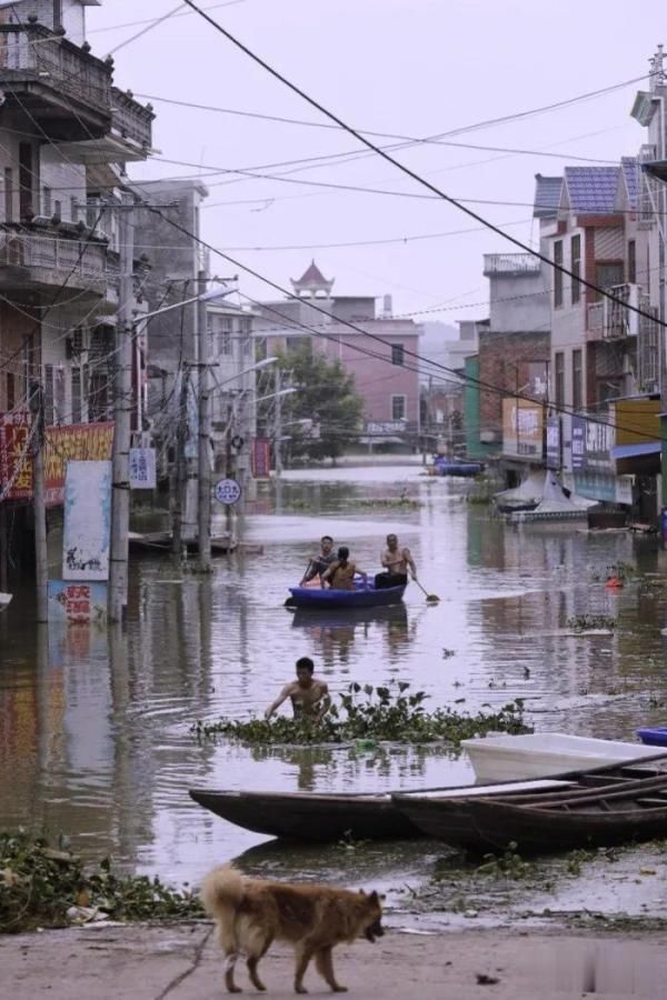 鄱阳县油墩街镇彭家|新房泡在水中，一家三口留住二楼，出入靠划船