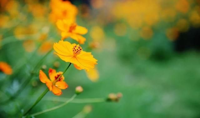  理智|人生感悟：越是在这三件事上“绝情”的人，越有福气