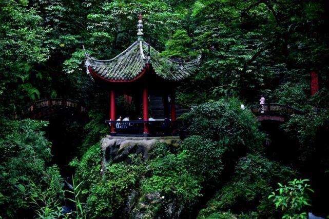  去一趟|避暑王者峨眉山，是时候去一趟了！