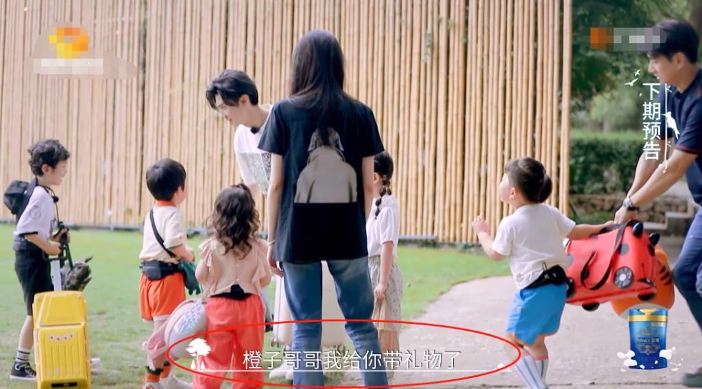  橙子|谭松韵因故离开《小森林》，新嘉宾神似张新成，被误认是橙子哥哥