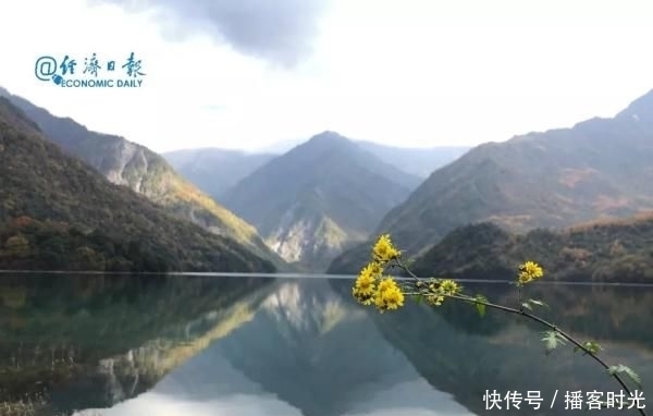 回复|10条知乎神回复,看完豁然开朗