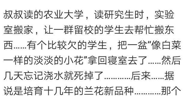 小偷被判|小偷偷了两块鹅卵石, 被抓后, 失主说500万一块, 最后被判重罪