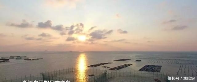  换来|他为让它多活一天，赌上一切付出八年，换来3000万