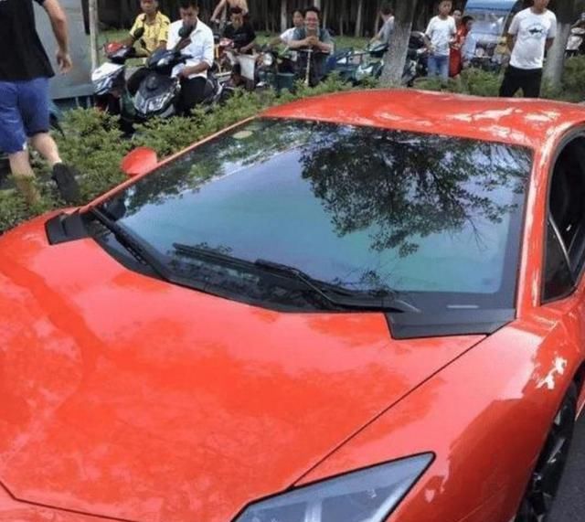  兰博基尼|金毛撞上兰博基尼，车损高达40万，业主：我的狗也受伤了