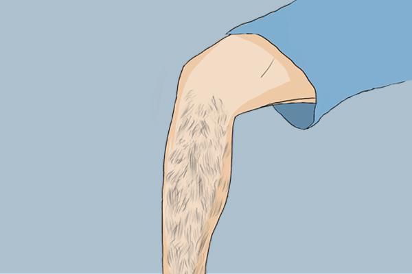  身体|女性为何体毛茂盛？体毛对人体有什么作用？到底能不能刮掉？