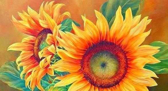 岁月|淡看花开花落，细品时光静好，尽享岁月安然