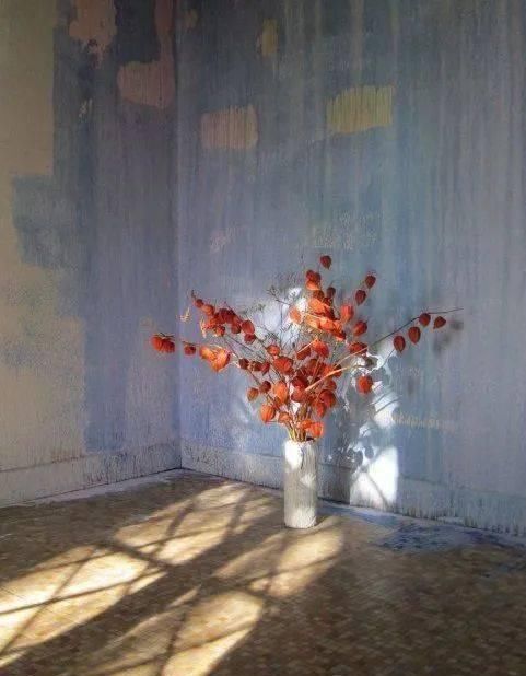  设计|“长得这么好看，花瓶就花瓶吧”