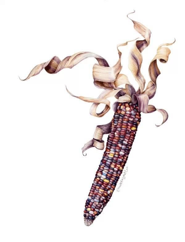  全职|一位全职妈妈喜欢疯狂画画，教你画水彩花卉