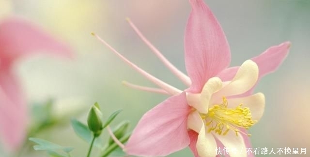 种东西不可|好人有好报,好因有好果!善良做人,心安一生