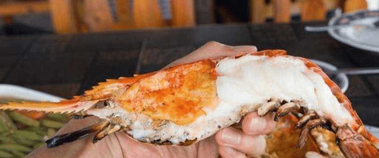 问号|湄公河大虾个个都有1米长,越南人满脸问号中国吃货咋就不吃了