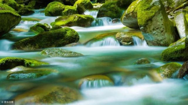  模特|【摄影讲评】顺光、侧光、逆光怎么用 第1268讲？