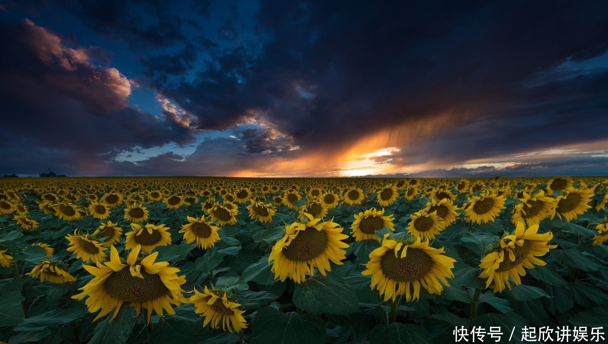 欢喜|在近期,千帆过尽,初心不改,四大星座与旧爱一如初见,欢喜复合