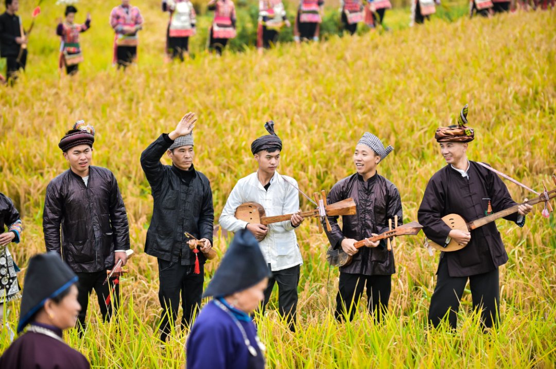 声音|假如丰收有声音，一定是这样婶儿的