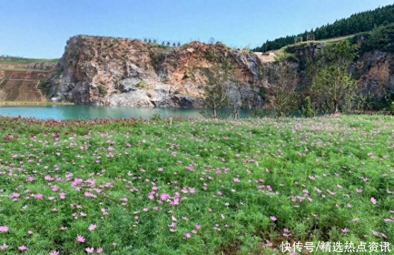 湖北灵山：不负绿水青山 书写生态新画卷