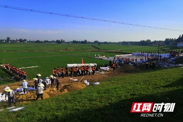  现场|南县一堤段发生“散浸”险情 “堤上的说法”为您科普