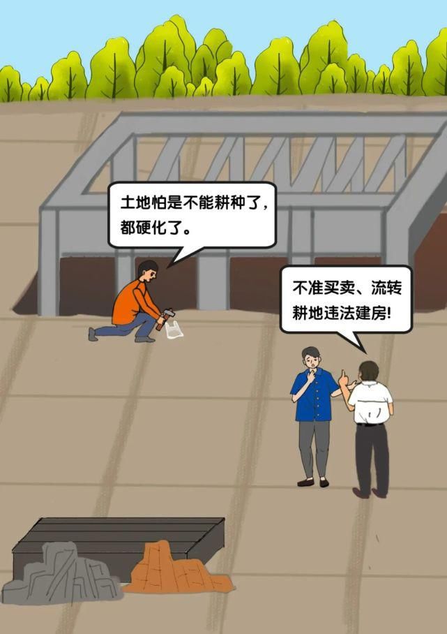 系列|农村乱占耕地建房“八不准”系列漫画 | 不准买卖、流转耕地违法建房