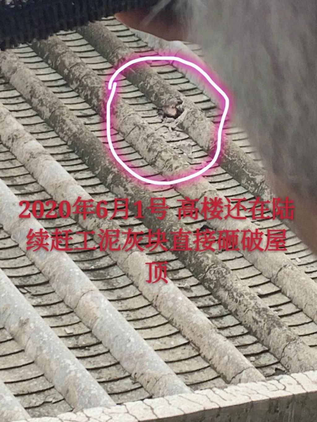  下山|潮汕某下山虎内，张小姐报警了