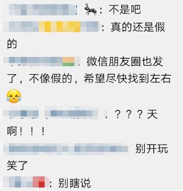 父亲|29岁旅游博主江中游泳被冲走！父亲沿江找了3天