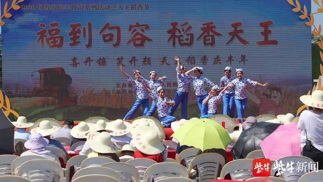  机农业|精彩纷呈“稻香节”戴庄“越光大米”将通过冷链物流运上宁镇市民餐桌