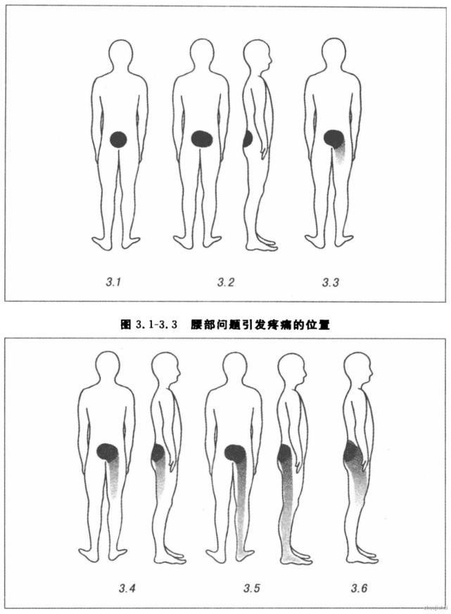  EDA365|EDA365：发量越少，代码越好；腰间盘有多突出，技术就有多牛！