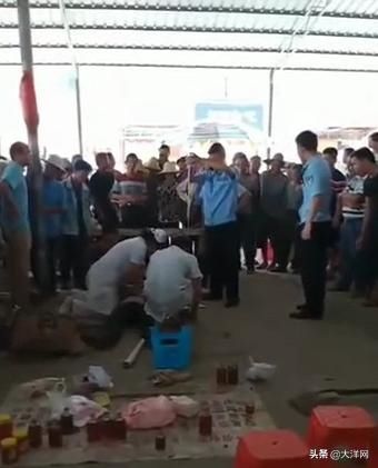  蛇咬到|男子卖药酒被自带毒蛇咬伤，不幸身亡