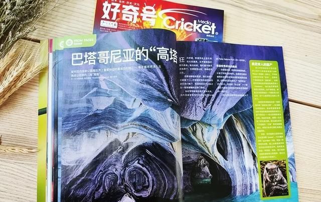  美国|美国顶尖儿童杂志授权，满足6-12岁孩子所有好奇心