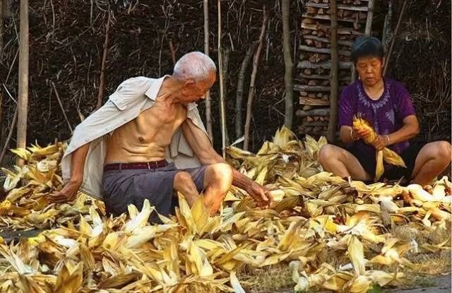  回家|在栖霞，有一种放假叫回家收秋！这组老照片火了