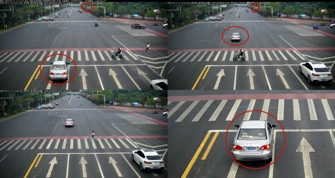 驾驶机动车违反道路|闯红灯、斑马线前不礼让行人，看看都有谁？