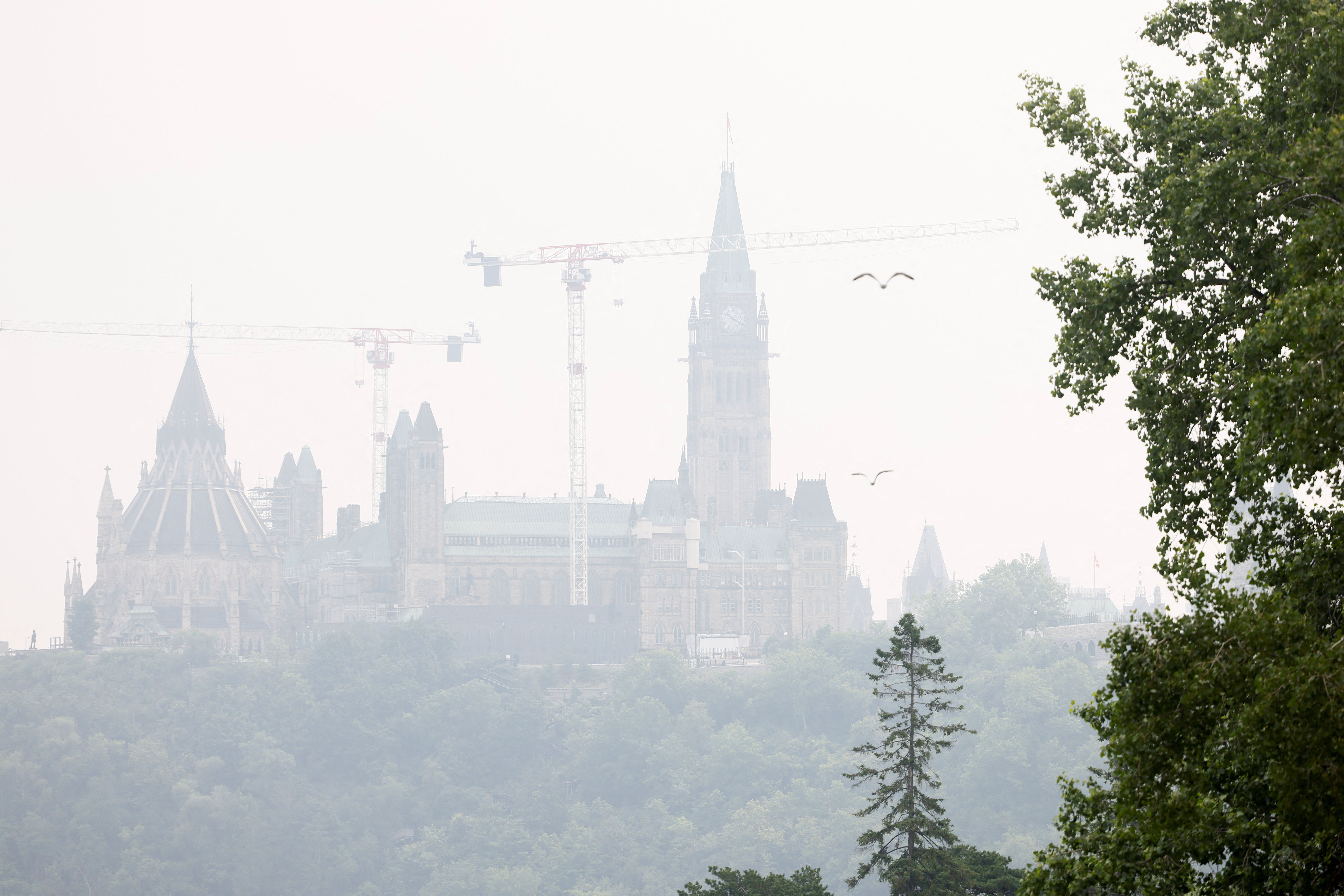 加拿大野火致加拿大和美国多地空气污染严重