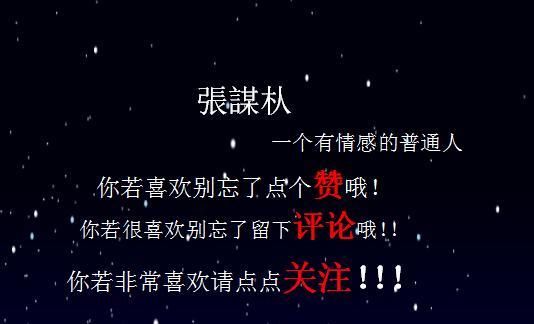  看懂|傻子走了，骗子傻了！（看懂的人，都傻过）