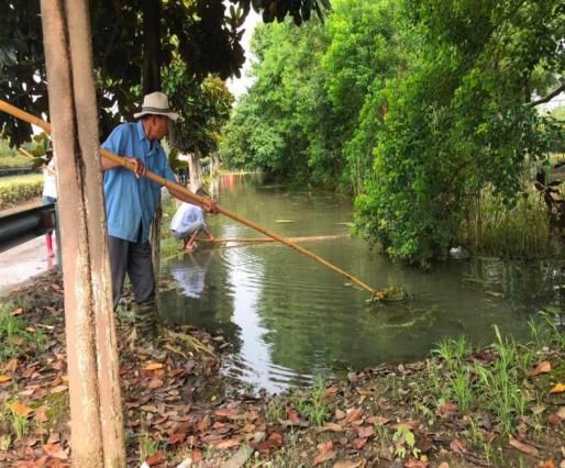  江阴|江阴有群“啄木鸟”，专干这件事！