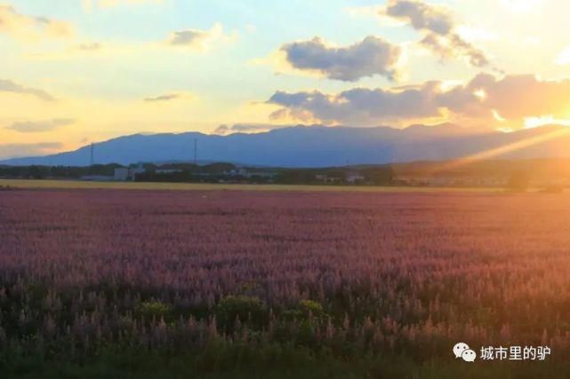  长白山|三伏暑热天，让我带你去这些只有25°的地方纳凉吧！