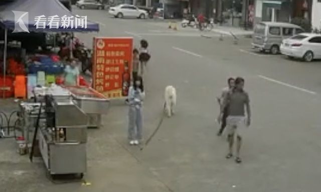  宠物狗|宠物狗街头狂奔，路边老人被狗绳绊倒身亡