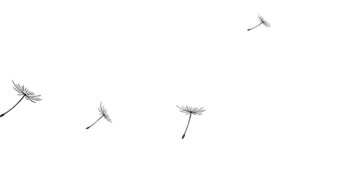 联合|渌口区|禁毒宣传进集市 警民联合铸平安