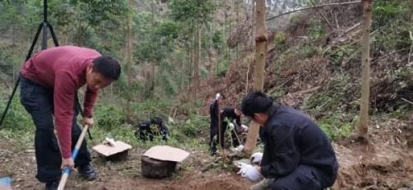 横县|17年前横县发生连环杀人案,凶手劫财杀人后竟对同伙动了杀心……