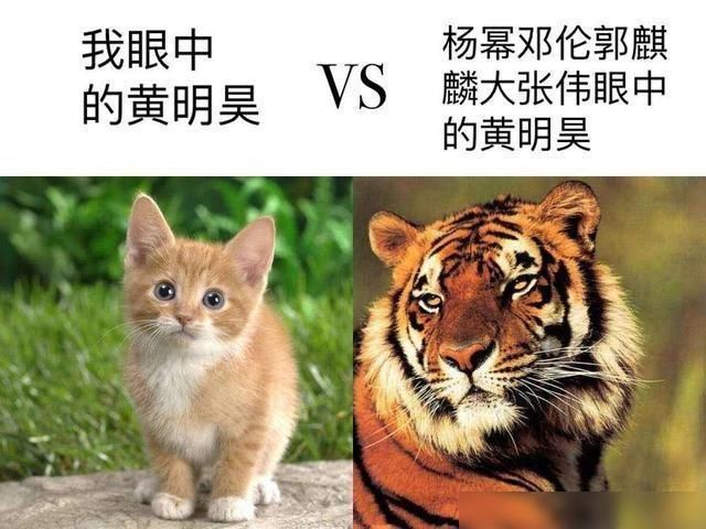  场面|综艺“大胆”名场面，邓伦拖行杨幂一米远，黄明昊实力一拖四