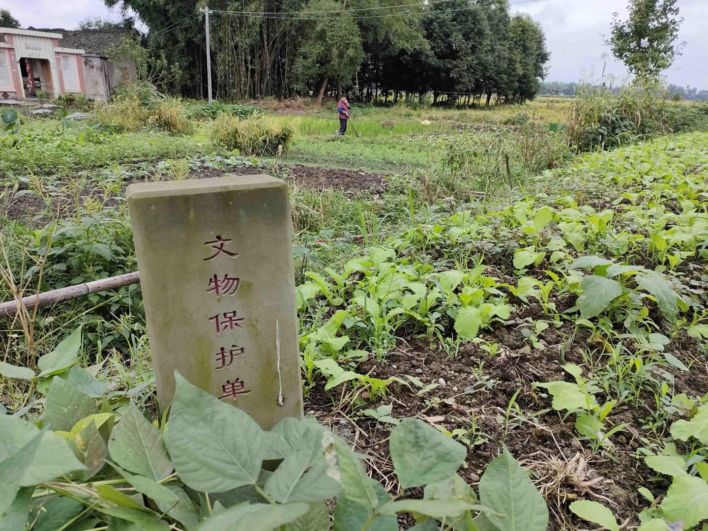 探访古蜀文明① 高山，成都平原上最古的古城