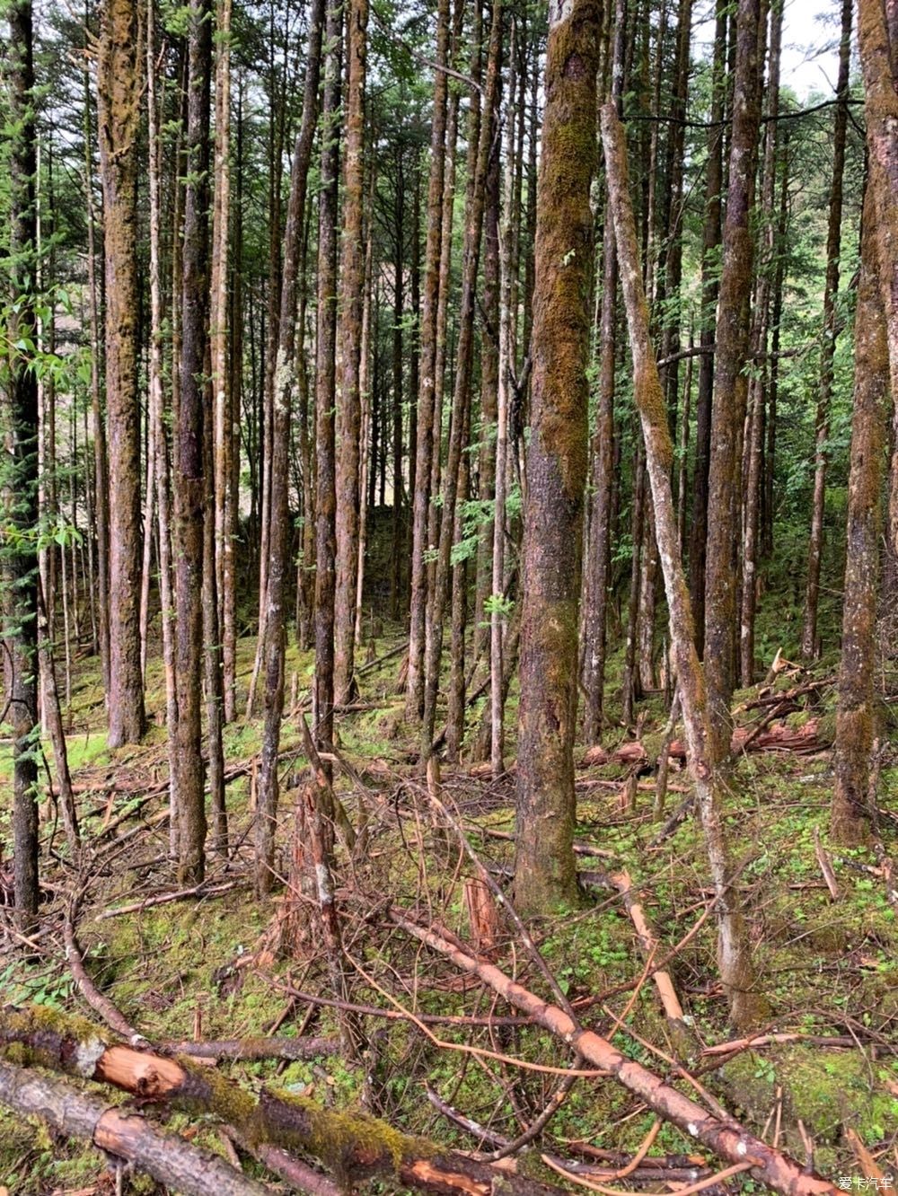  夏天|终于走了宝康线，夏天出行真是拼人品