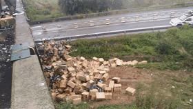  拉走|货车高速公路遇车祸，7吨猪肉遭哄抢！连车门也被拉走了…