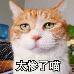 选中|央视搞选秀、信小呆转让锦鲤…被选中的都是“天选之子”吧！