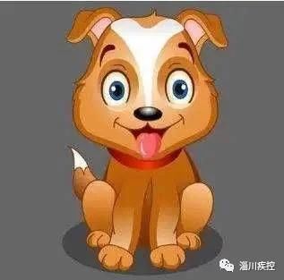 狂犬病|强化协作加强免疫，共同消除狂犬病