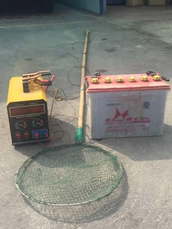 举报|举报！最高奖励2万元！