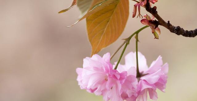 精辟|发人深省的24句人生感悟句子,精辟入骨,一生必读