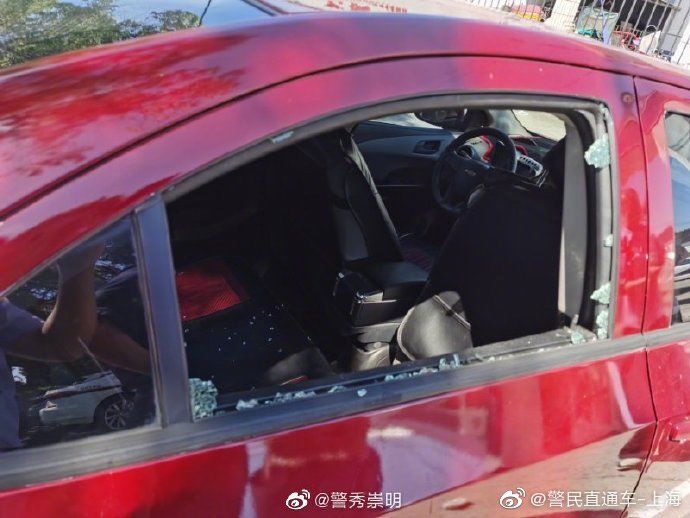 报警|警察认真受理“砸车盗窃”案报警人却慌了神？